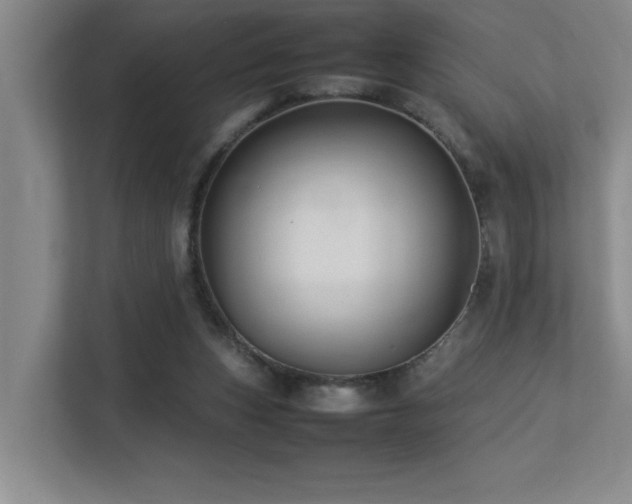 X0000113210159200909101139