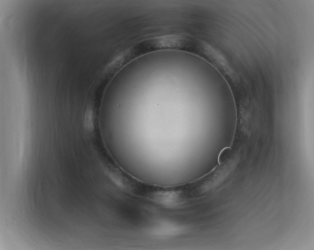 X0000113210161200909101139