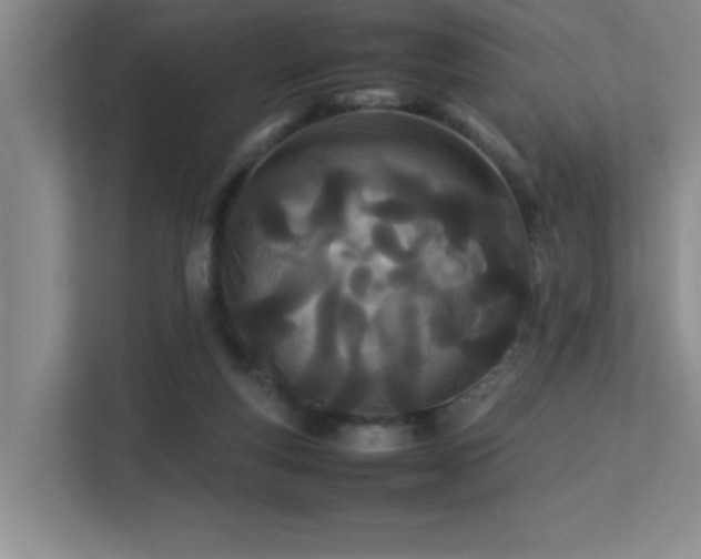 X0000113210163200909101139