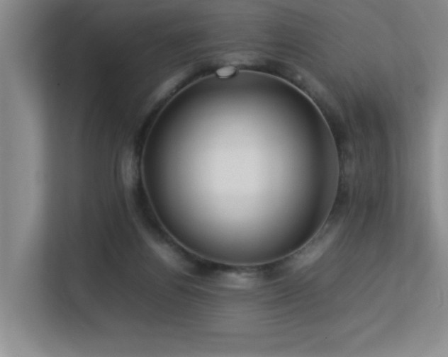 X0000113210164200909101139