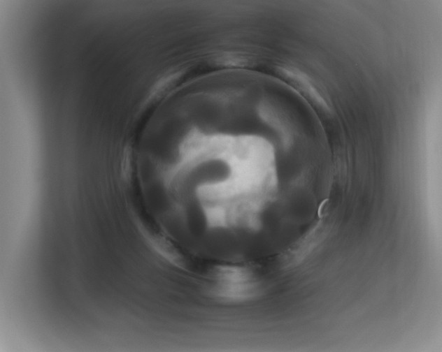 X0000113210167200909101139