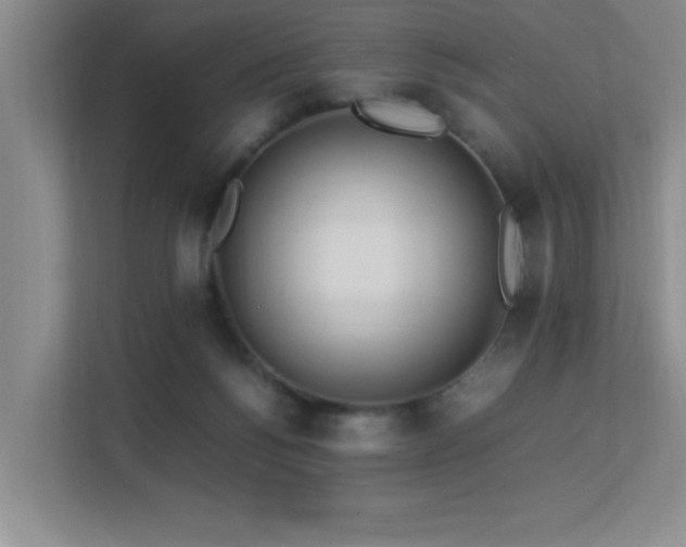 X0000113210168200909101139