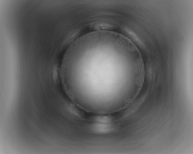 X0000113210169200909101139