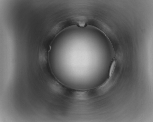 X0000113210170200909101139