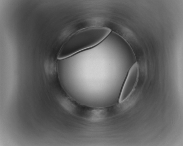 X0000113210172200909101139