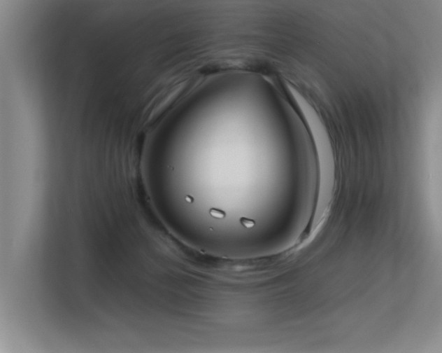 X0000113210174200909101139