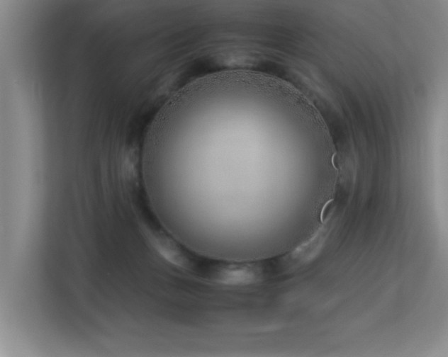 X0000113210175200909101139