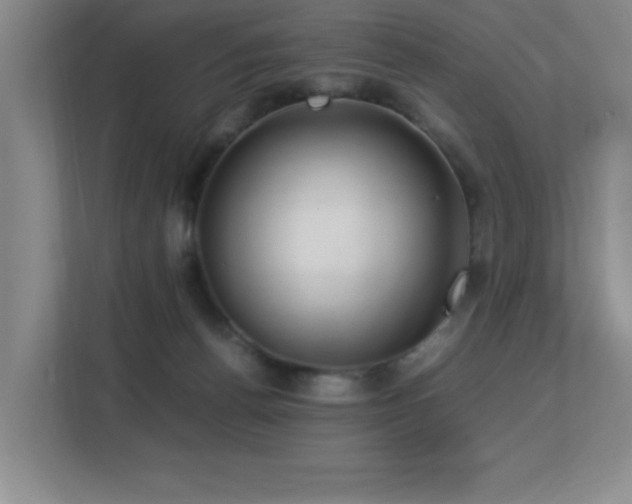 X0000113210176200909101139