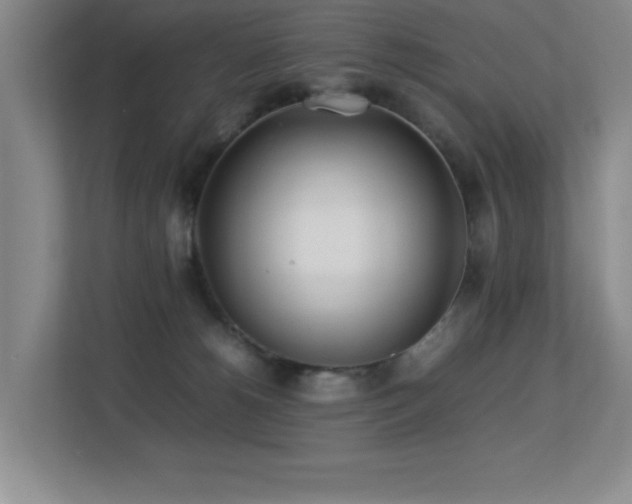 X0000113210180200909101139