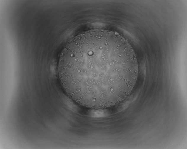 X0000113210181200909101139