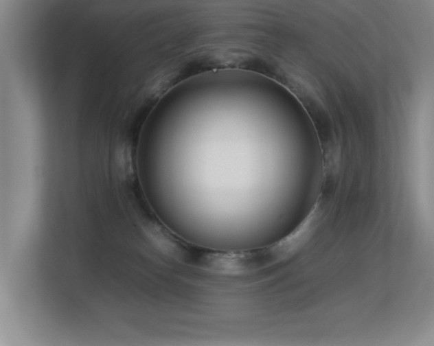 X0000113210182200909101139