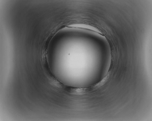 X0000113210184200909101139