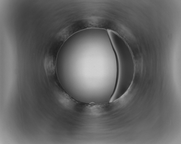 X0000113210186200909101139