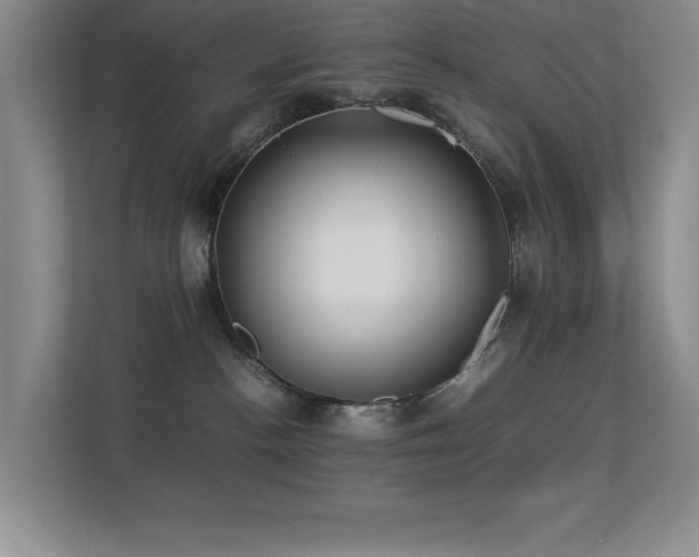 X0000113210188200909101139