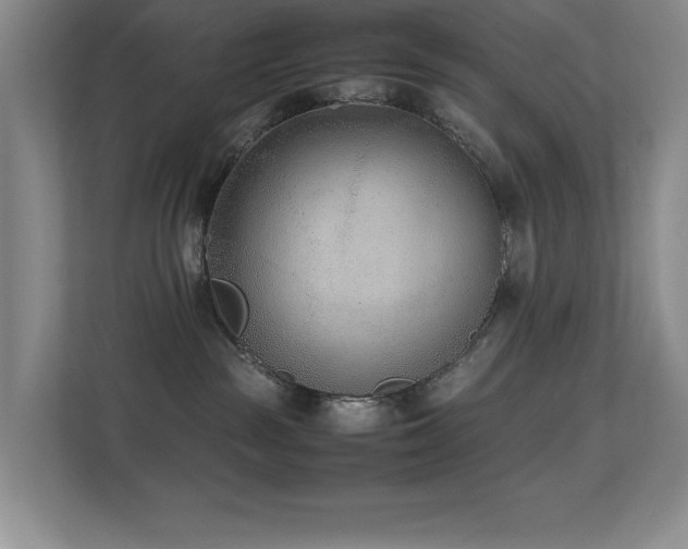 X0000113210189200909101139