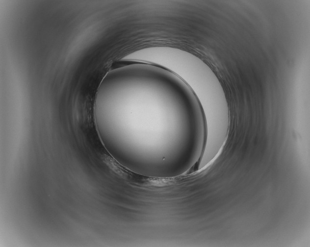 X0000113210190200909101139