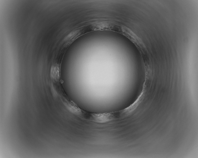 X0000113210191200909101139