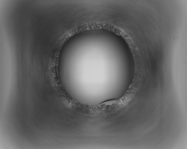 X0000113210192200909101139