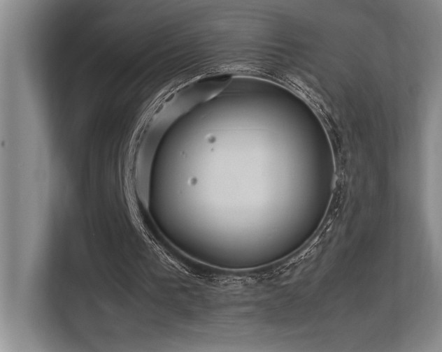 X0000113210193200909101139