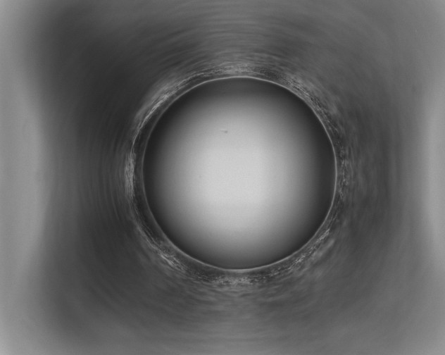 X0000113210194200909101139