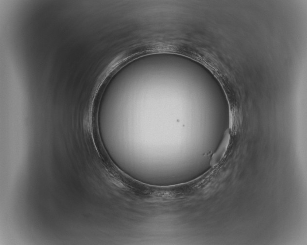 X0000113210195200909101139