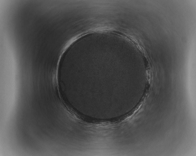 X0000113210196200909101139