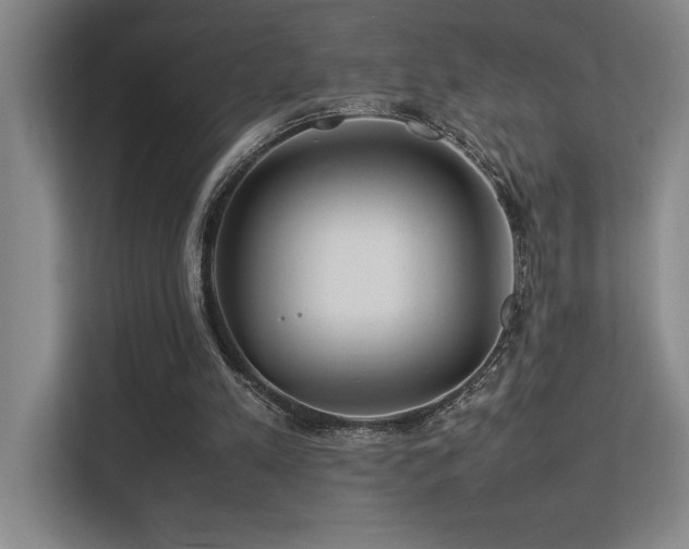 X0000113210197200909101139