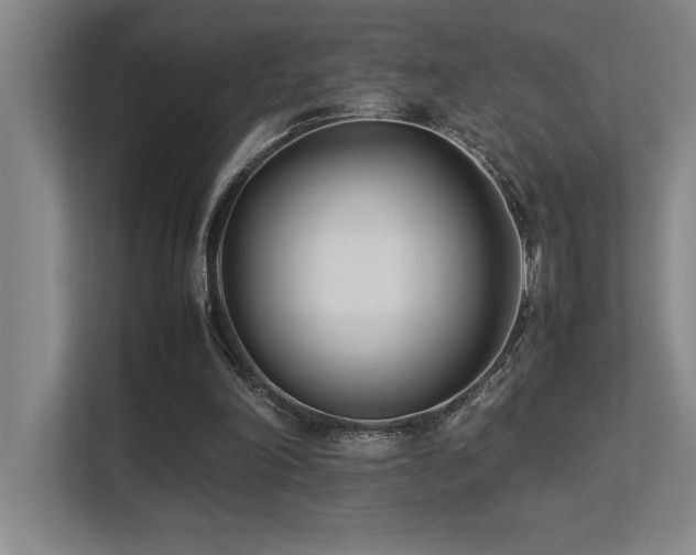 X0000113210198200909101139