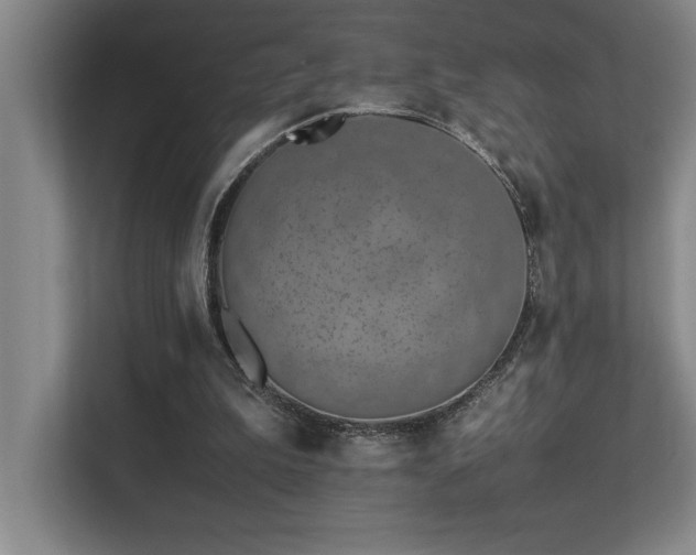 X0000113210199200909101139