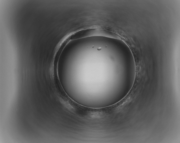 X0000113210200200909101139