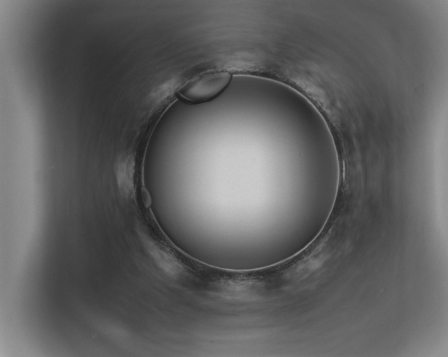 X0000113210201200909101139