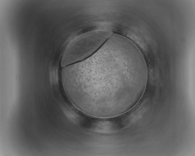 X0000113210203200909101139