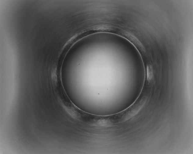 X0000113210204200909101139