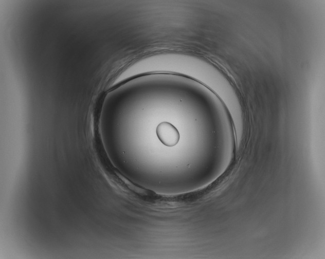 X0000113210205200909101139