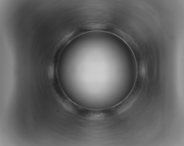 X0000113210206200909101139