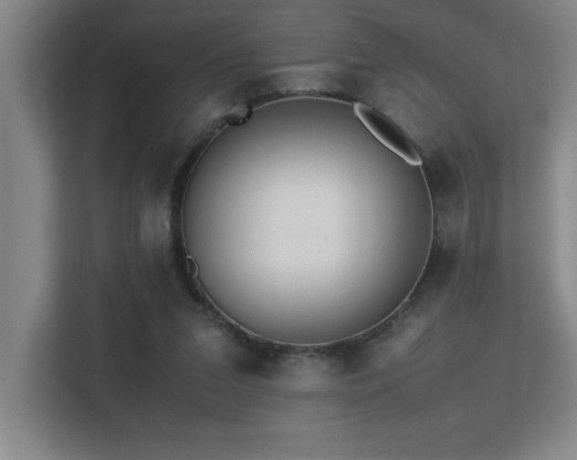 X0000113210207200909101139