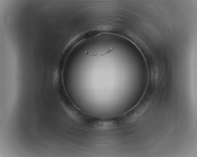 X0000113210208200909101139