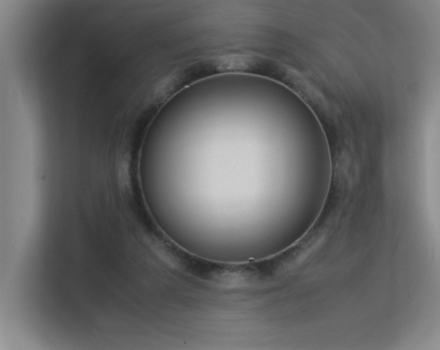 X0000113210209200909101139