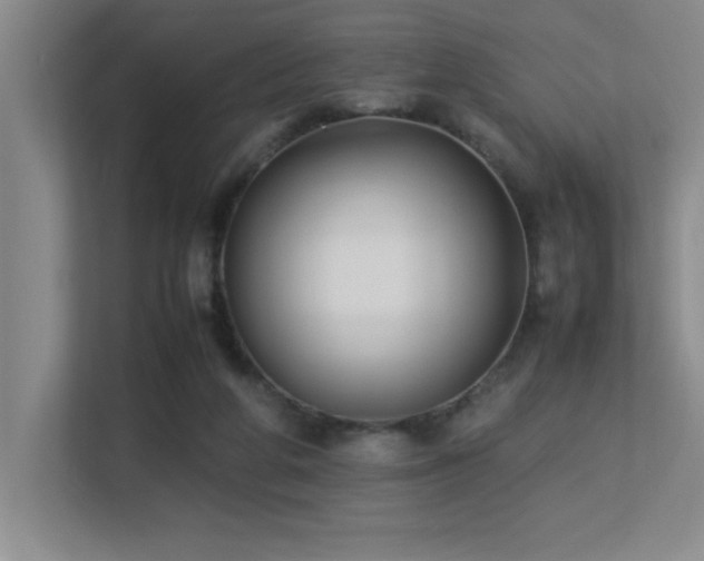 X0000113210210200909101139