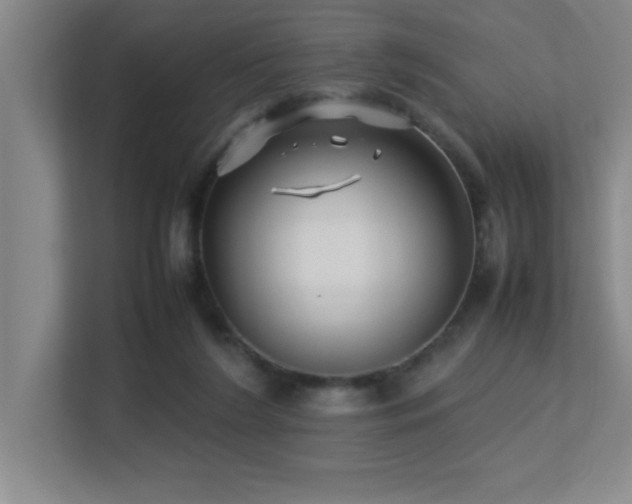 X0000113210212200909101139