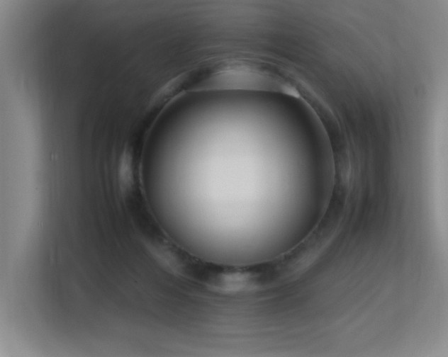 X0000113210216200909101138