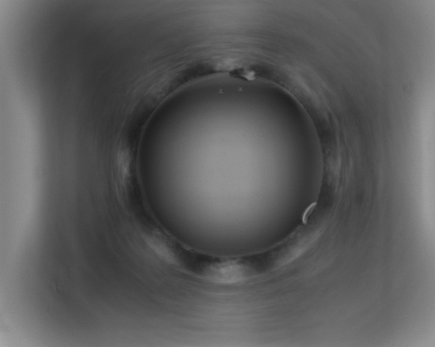 X0000113210219200909101138