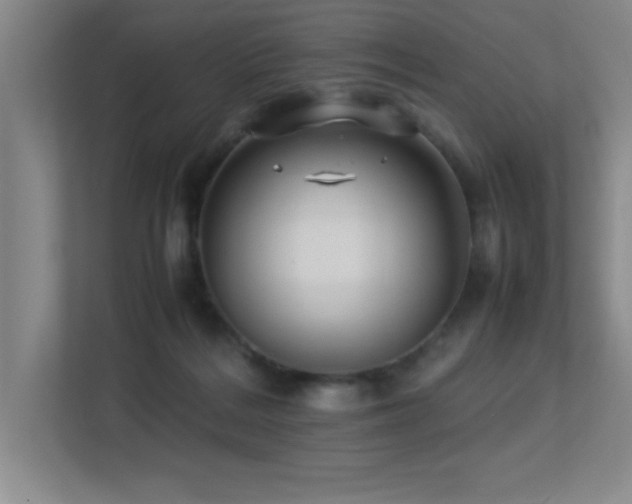 X0000113210220200909101138