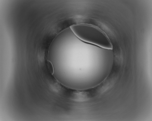 X0000113210221200909101138