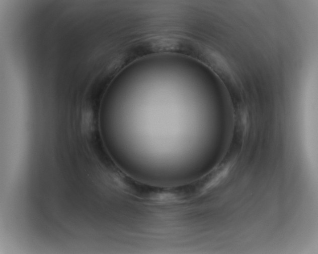 X0000113210224200909101138