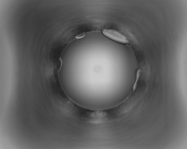 X0000113210225200909101138