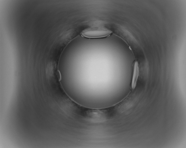 X0000113210229200909101138