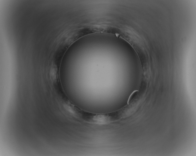 X0000113210231200909101138