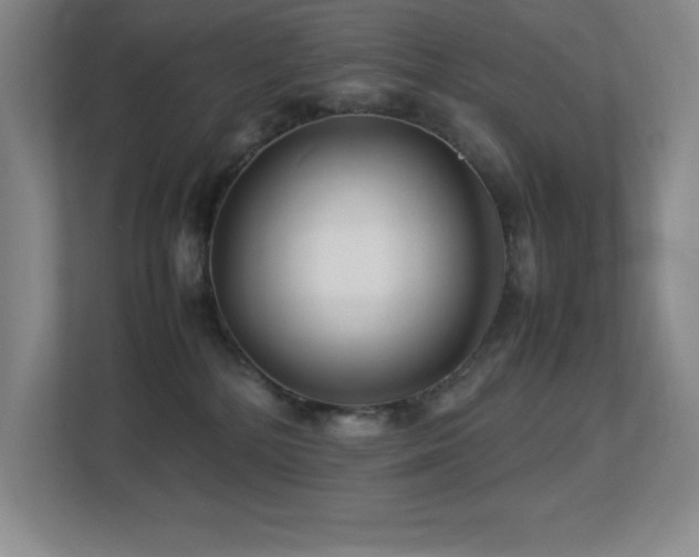 X0000113210232200909101138