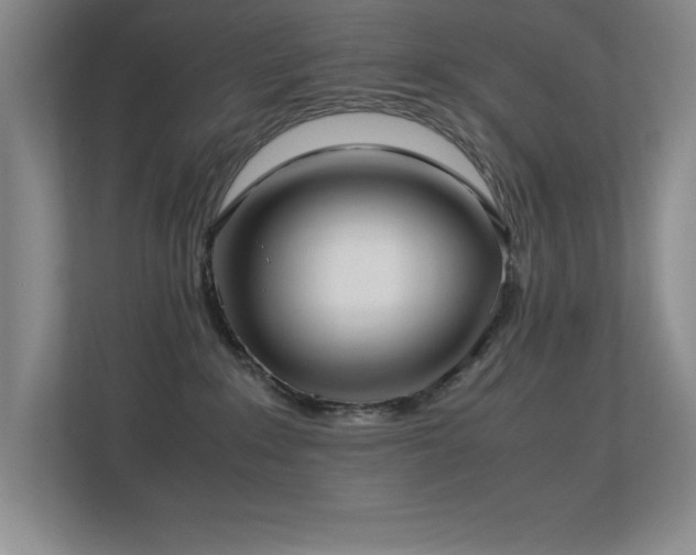 X0000113210235200909101138